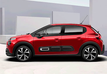 Grupo C1