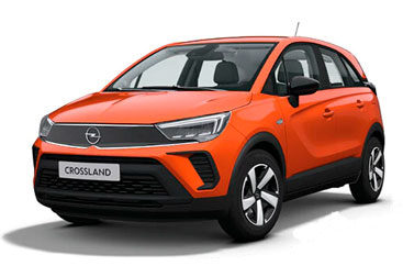 Grupo D1
